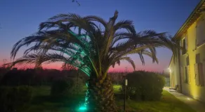 B&B Bella di Notte - Image 4