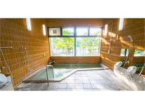 Forest Resort Sarugakyo Seikoso - Image 2