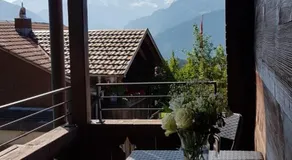 App. Seeblick Top of Interlaken - Image 4