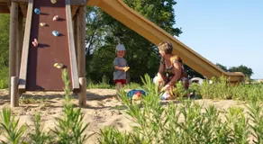 Le gardon - Image 4