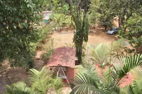 Shilaj - Image 4