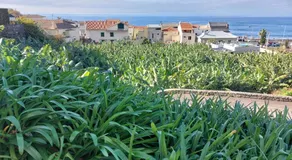 Casa Tropicana - Image 5