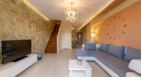 Gold Olive Suites by "elite" - Image 2