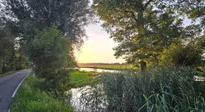 B&B Koe en Kussen - Image 4