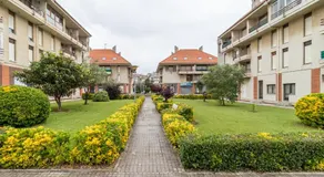 La Oliva Noja - Image 5