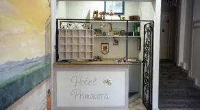 Primavera - Image 4