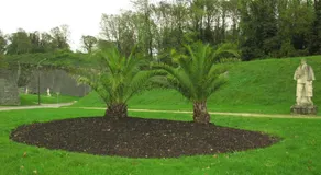 Les Victoriennes - Image 3