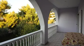 Oasis - Image 4