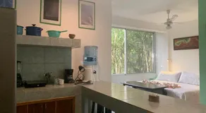 Studio with swimming pool at 12 m height over jungle - Image 2