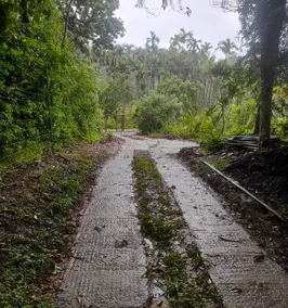 Zyamadhari - Nature zone - Image 5
