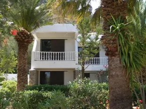 AVRA PALM - Image 4