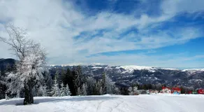 Cabana Platoul Soarelui - Image 4