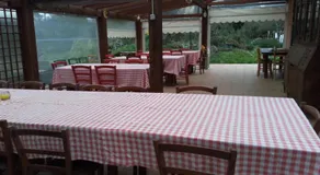 Agriturismo "La Rosa Canina" - Image 5