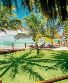 Carneiros Paradiso - Image 4