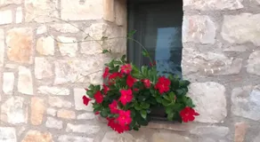 Luxury Apartments San Zeno - Adults Only - Image 5