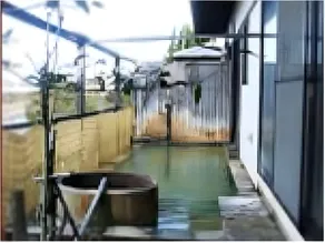 Hayamizuso - Image 3
