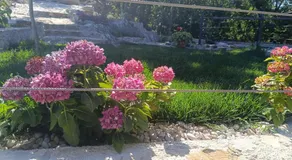 Kuća za odmor Stina, Kučiće - Image 5