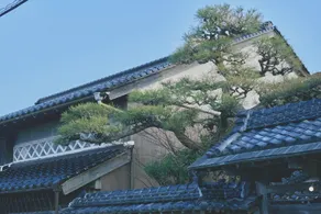 KAZENO Kurayoshi - Image 4
