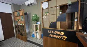 IslandHonu - Image 4