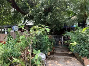unique & a peaceful cottage with a green patio. - Image 2