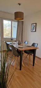 K190 - 2BDR Apartment close to Zurich Airport - Image 3