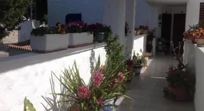 Adelfas Mar - Image 4