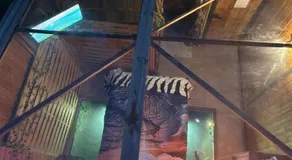 l'aquarium - Image 5