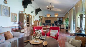 Panther Home Casa Colonial Villa con piscina privada - Image 3