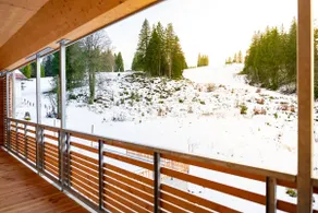 Ferienwohnung Feldberg Schwarzwald - Image 4