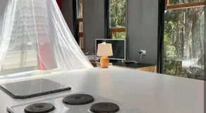 Francis Lane Tiny Studio - Image 3