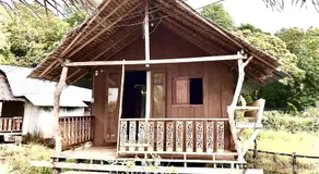 Frog Garden Hut - Image 5