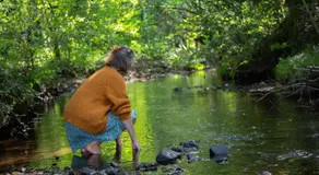 Le Moulin des hirondelles - Image 4