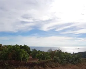 Bhogwey Heights Resort -Sindhudurg - Image 4