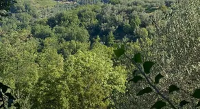 la dimora degli angeli - Image 5