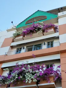 Sandy Serviced Apartment - Image 5