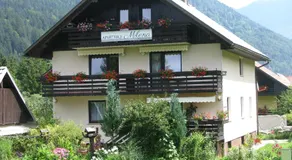 Apartments and Rooms Milena - Image 2