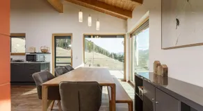 Austrian Alpine Apartments - Image 4