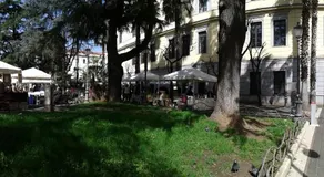 Primo Posto - Image 5