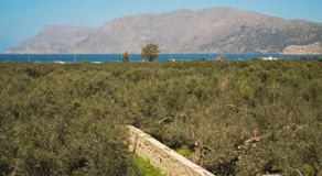 Mythelea Luxury Villa - Image 3