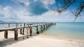Samed Thanee - Image 2