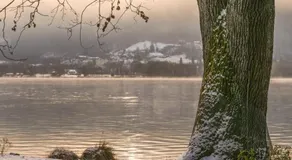 SeeZeit am Ossiacher See - Image 5