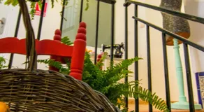San José Guest House - Image 3