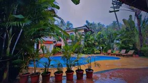 The Coco View Apartment - Image 3
