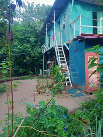 Nature's Haven Ecojunglelodge Tioman - Image 3