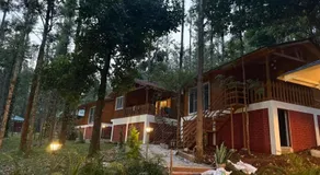 The Wild Deck - Chikkamagaluru - Image 5