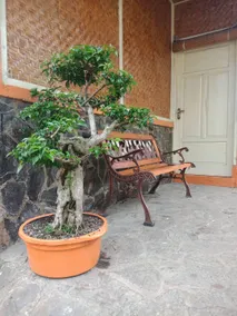 Villa Daffa Ciwidey - for family events & leisures - Image 3