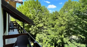 Cabana din Pădure - Image 4