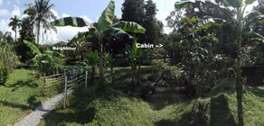 The Forest Cabin - Image 2