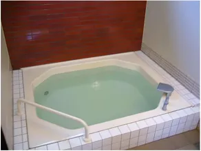 Shimizuya Ryokan (Nagano) - Image 3