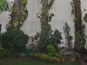 Hotel Kabli - Image 4